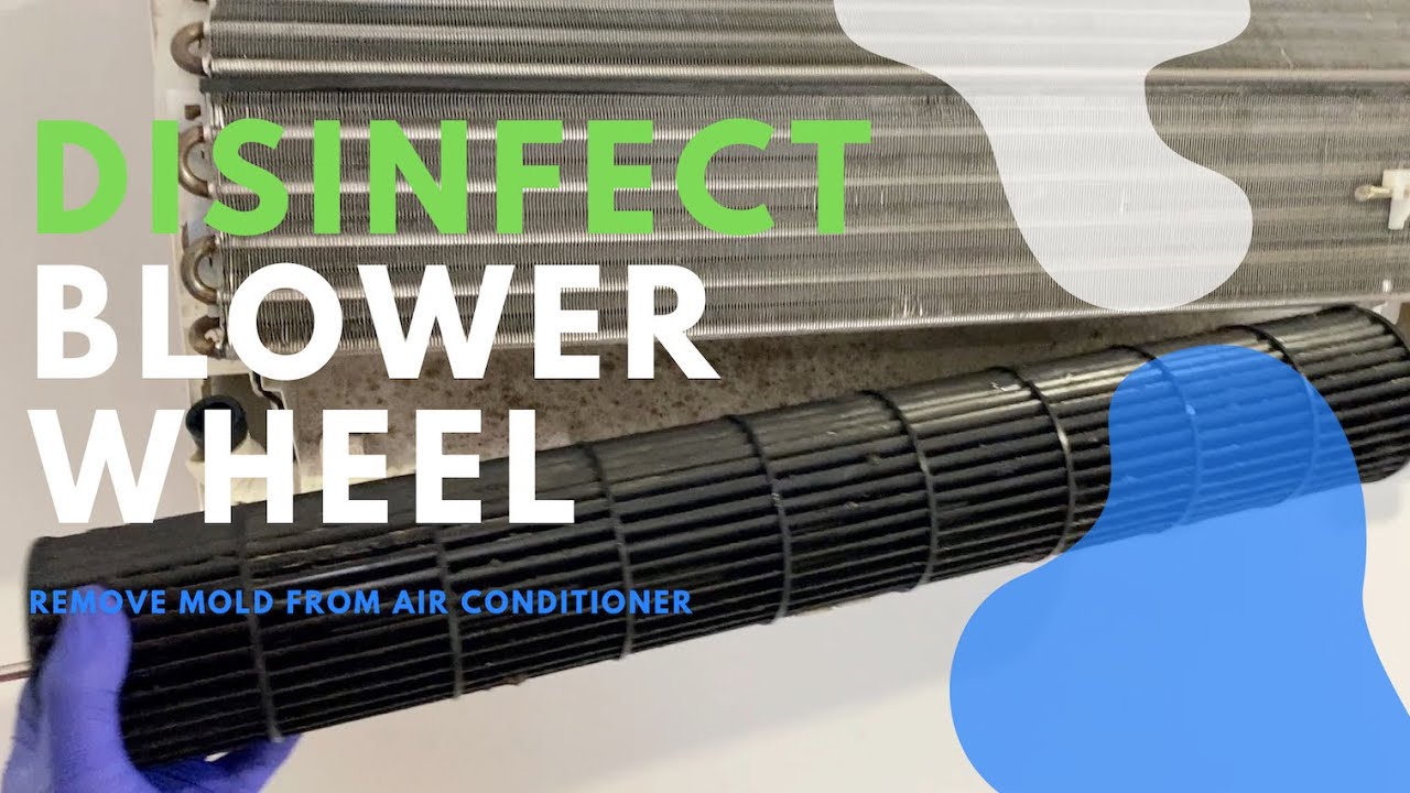 Disinfect black mold and dust around blower wheel of indoor AC to save  electricity #blower
